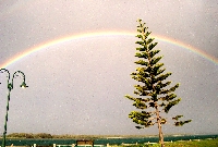 d0020685_2322415.jpg