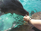 b0000787_1437028.gif
