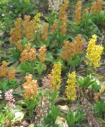 c0036203_114597.jpg
