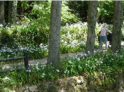 c0036203_11491945.jpg