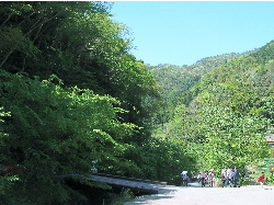 c0036203_11554865.jpg