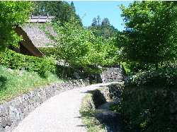 c0036203_115779.jpg
