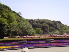 c0019617_0103591.jpg