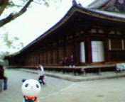 b0006423_22553938.jpg