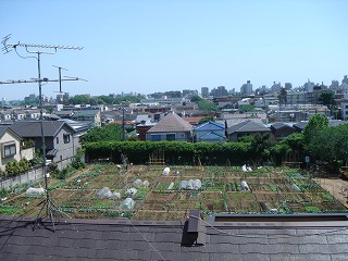 d0023323_22304272.jpg
