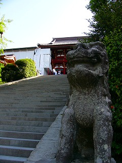 b0009029_21184626.jpg