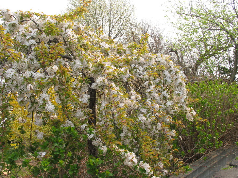 d0038630_16575411.jpg