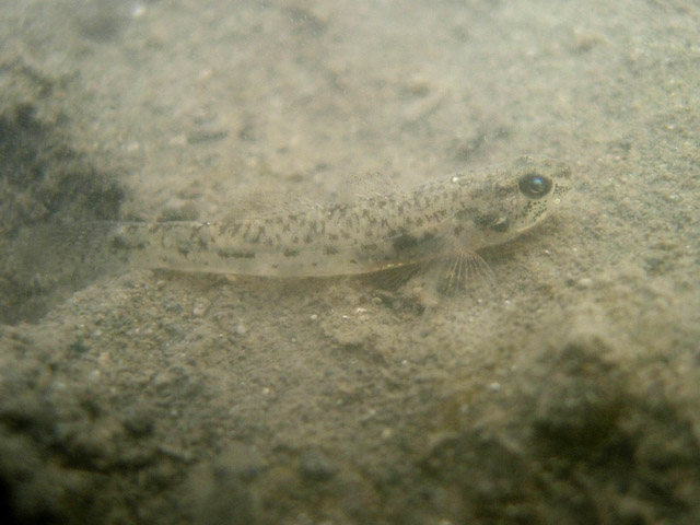 d0041331_23284317.jpg