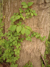 b0036340_2139367.jpg