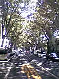 b0060945_19555664.jpg