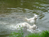 c0024345_213783.jpg