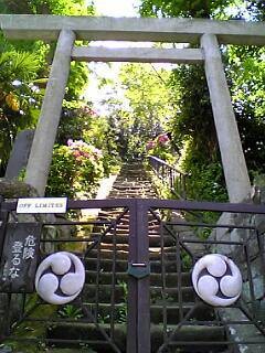b0032346_1745894.jpg