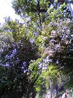b0032346_1818437.jpg