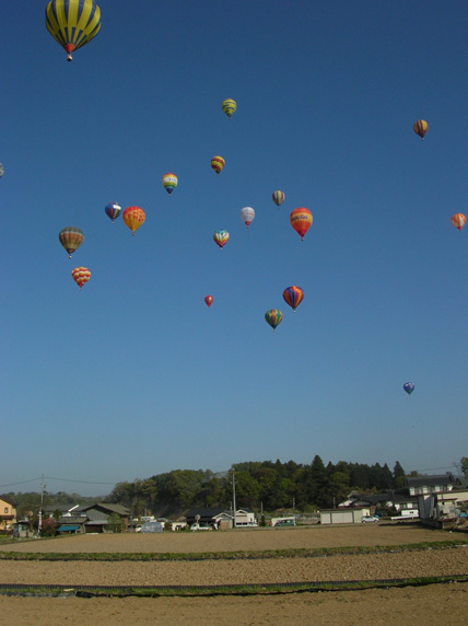 b0029350_2011312.jpg