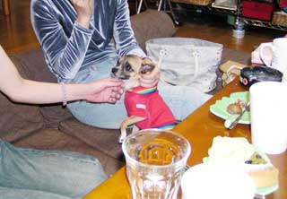 c0019050_827687.jpg