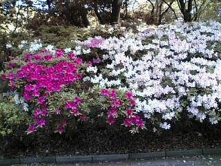 c0062954_22135100.jpg