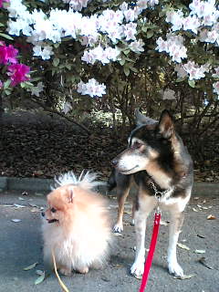 c0062954_22193484.jpg