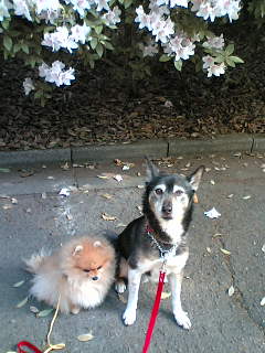c0062954_2229132.jpg