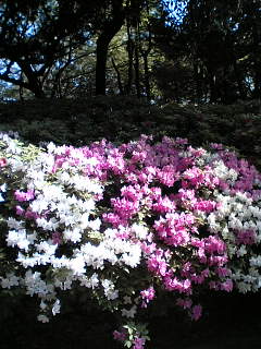 c0062954_2236360.jpg