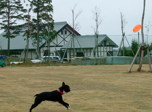 c0032567_23441643.jpg