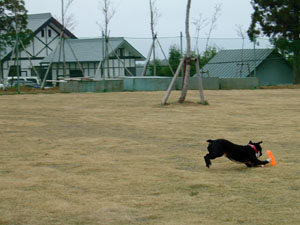 c0032567_23452861.jpg