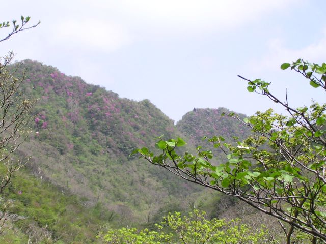 c0042869_1956668.jpg