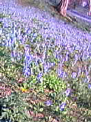 c0023076_11174162.jpg