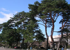 b0032694_17463994.jpg