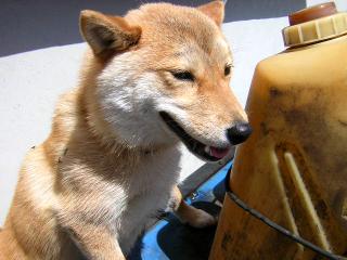 b0013897_19255551.jpg