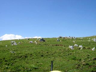 b0013897_19264118.jpg