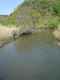 c0008598_20313324.jpg
