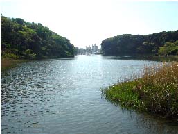 c0008598_2034298.jpg