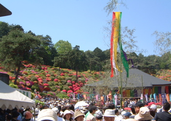 a0011999_11345918.jpg