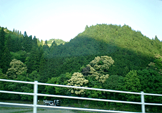 c0049601_2047621.gif