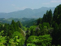 b0038008_1519533.jpg