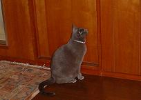 c0066610_12285366.jpg