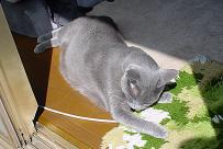 c0066610_12382654.jpg
