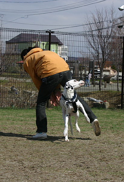 a0016311_2110342.jpg