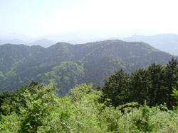 a0031714_2223166.jpg