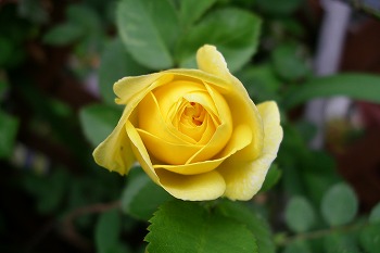 a0034419_10155594.jpg