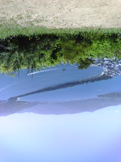 a0031424_1758399.jpg