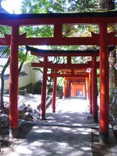 a0031424_1758406.jpg
