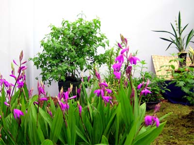 d0029829_15285395.jpg