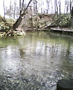 b0066130_1362711.jpg