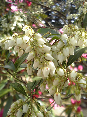 a0013134_23103245.jpg