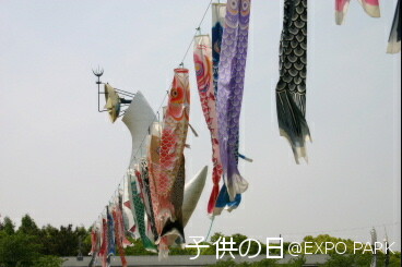 c0046340_19511496.jpg