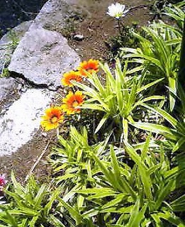 c0011148_1210772.jpg
