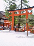 c0016552_16222641.jpg