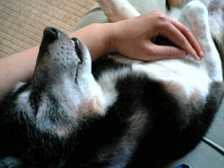 c0062954_2248278.jpg