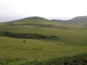 d0013854_2213054.jpg